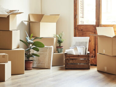 Moving boxes and plants on the floor of a home.
