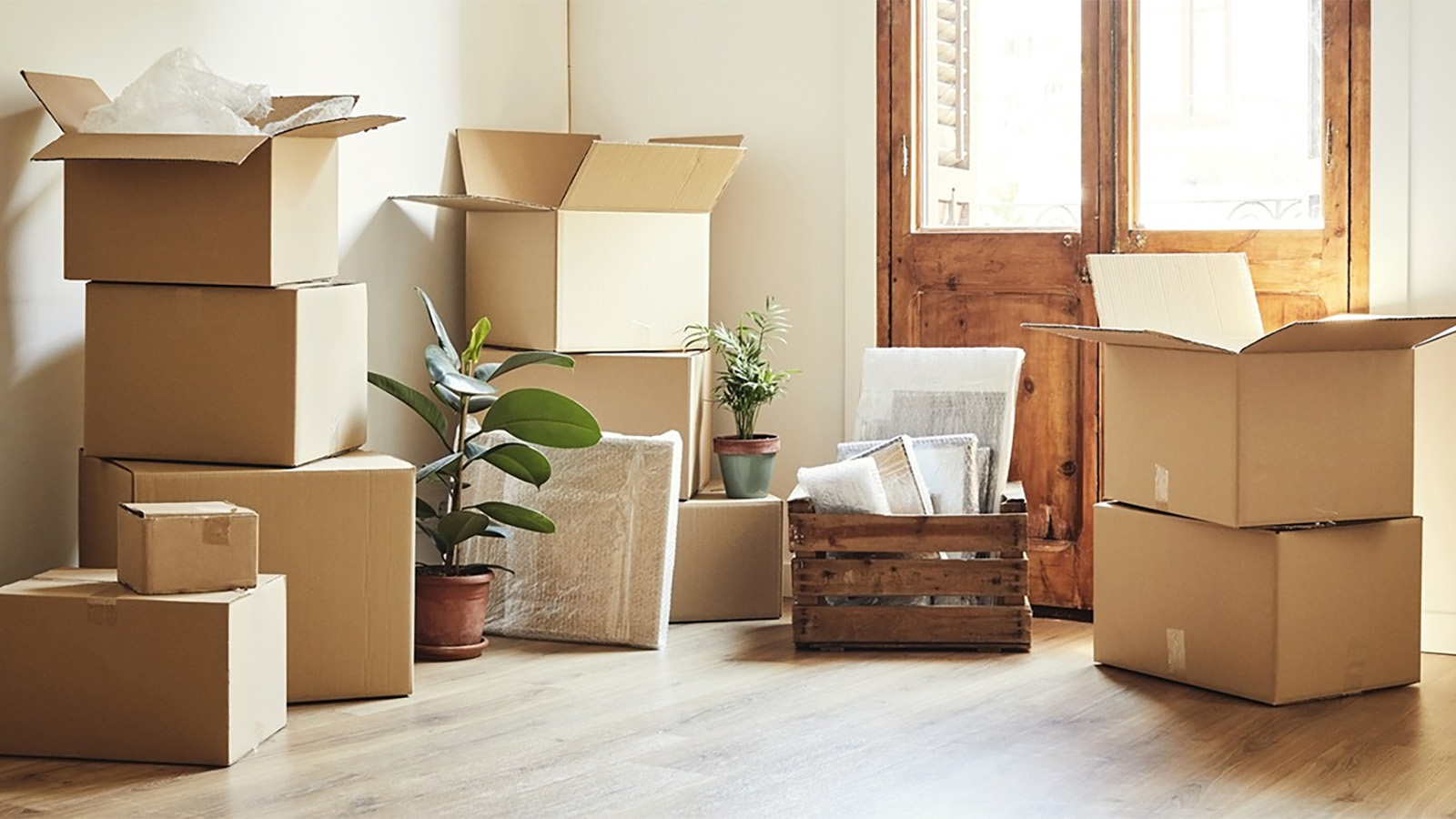 Moving boxes and plants on the floor of a home.