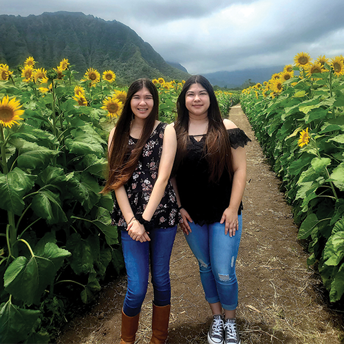 Two people in a sunflower garden